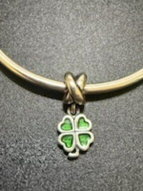 Variety of Bangle Charms Sale ($15 each Charm)